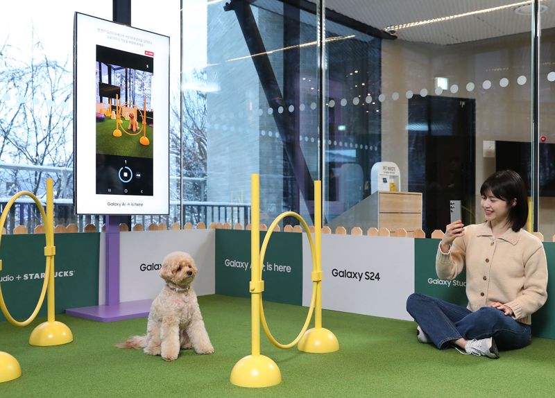 스타벅스 더북한강점R점에서는 삼성전자 갤럭시24와 함께하는 반려동물 놀이공간을 체험할 수 있다.