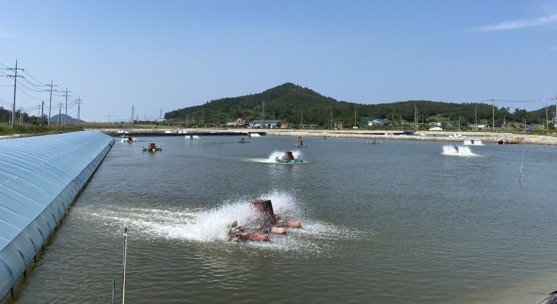 해수부, 양식어업인에 전기요금 최대 44만원 지원