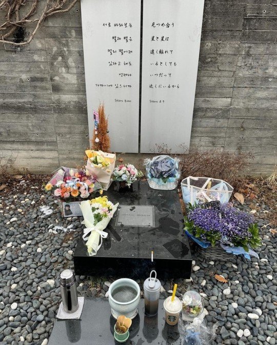 박용하 묘소 찾은 김준희 "친구야 벌써 14년 지났다"
