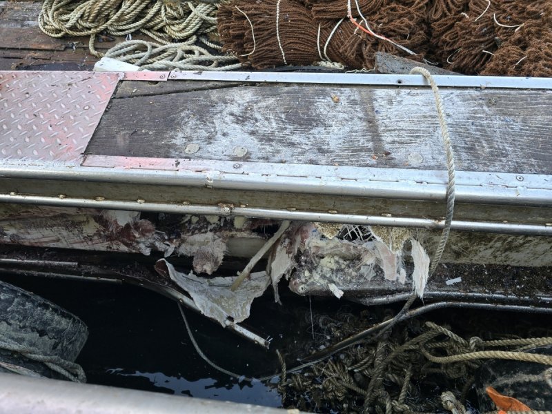 B호에 생긴 충돌 흔적 [동해해양경찰서 제공. 재판매 및 DB 금지]