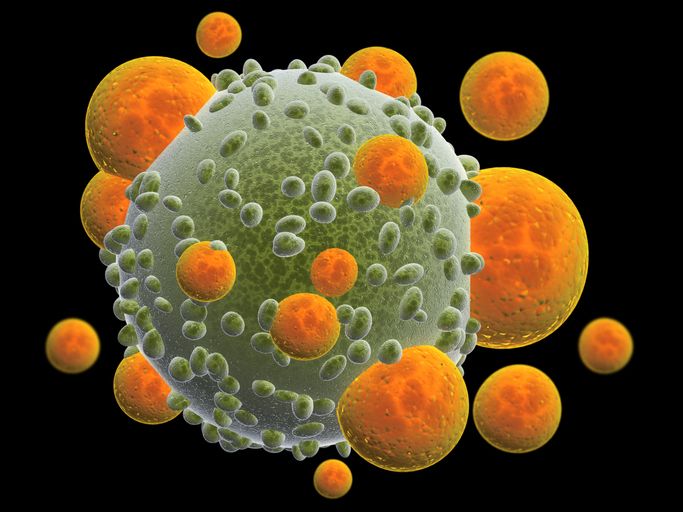 면역세포인 T세포가 몸 속으로 침투한 바이러스를 제거한다. 게티이미지 제공