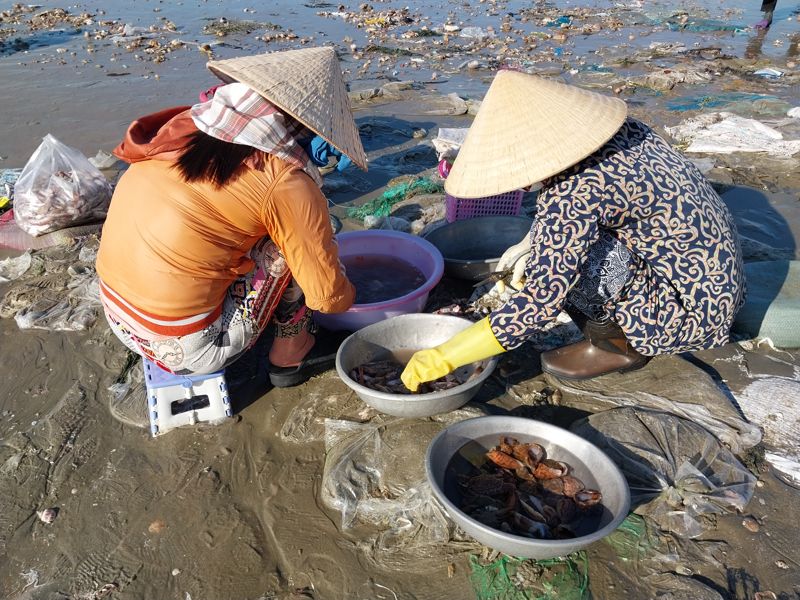무이네 어촌 마을에서 현지 주민들이 그날 수확한 해산물을 정리하고 있다.