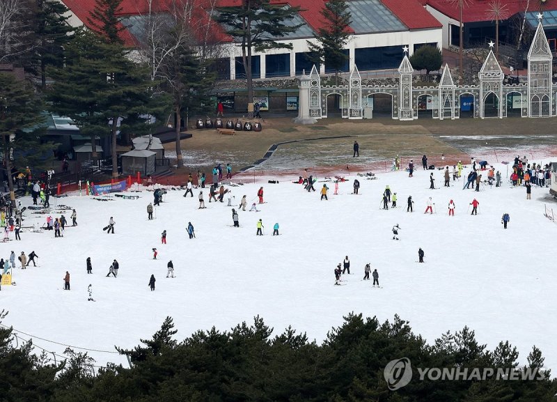 스키장. 기사와 직접 관련 없음. 주말 맞아 붐비는 스키장 (평창=연합뉴스) 양지웅 기자 = 26일 강원 평창군 용평리조트 스키장이 개장 후 첫 주말을 맞아 스키어와 스노보더들로 붐비고 있다. 2023.11.26 yangdoo@yna.co.kr (끝)