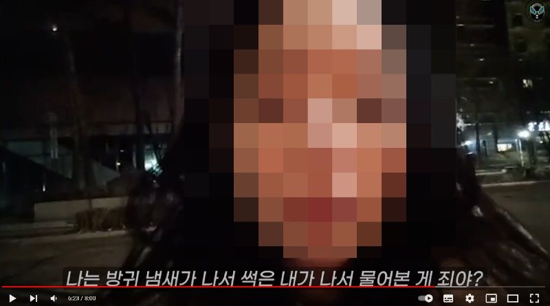 배우 출신 유튜버가 택시기사에게 갑질을 행사했다는 주장이 나왔다. 출처=온라인커뮤니티 '보배드림'