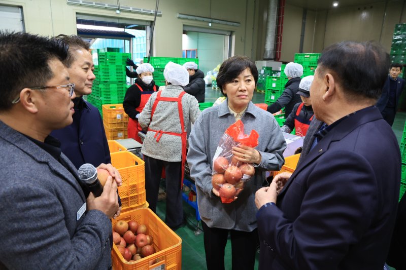 사과 선별 과정 설명 듣는 송미령 장관 (서울=연합뉴스) 송미령 농림축산식품부 장관이 14일 경상북도 영주시의 산지유통센터를 방문해 영주 거점APC에서 사과 선별 과정에 대해 설명을 듣고 있다. 2024.2.14 [농림축산식품부 제공. 재판매 및 DB 금지] photo@yna.co.kr (끝)