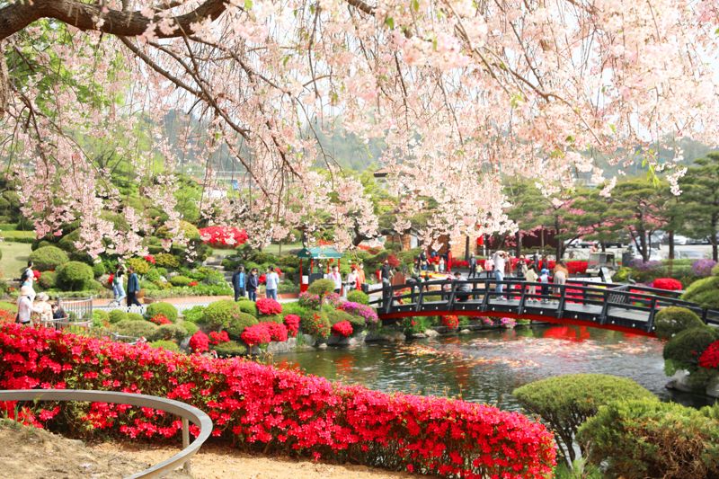 여행가는 달' 캠페인 기간 세종시 베어트리파크에서는 봄식물을 20% 할인해준다. 한국관광공사 제공