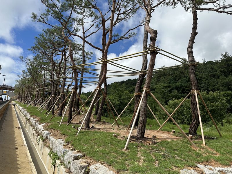 전남도, 지난해 '나무은행' 운영으로 17억원 절감