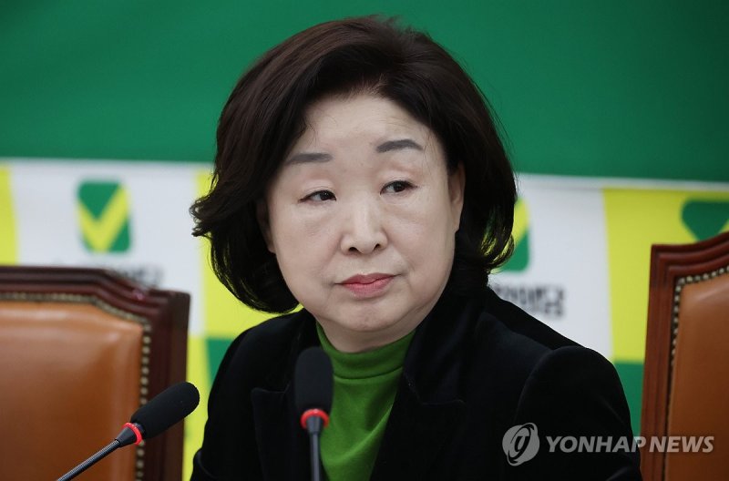 녹색정의당 새 원내대표가 된 심상정 의원이 20일 국회에서 인사말을 하고 있다. 연합뉴스