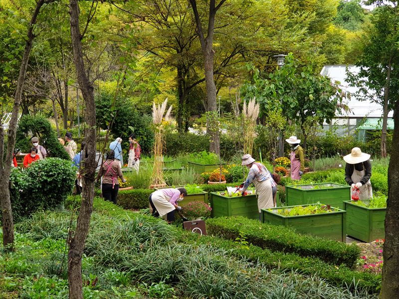 신구대학교의 정원치유 프로그램 진행 모습.