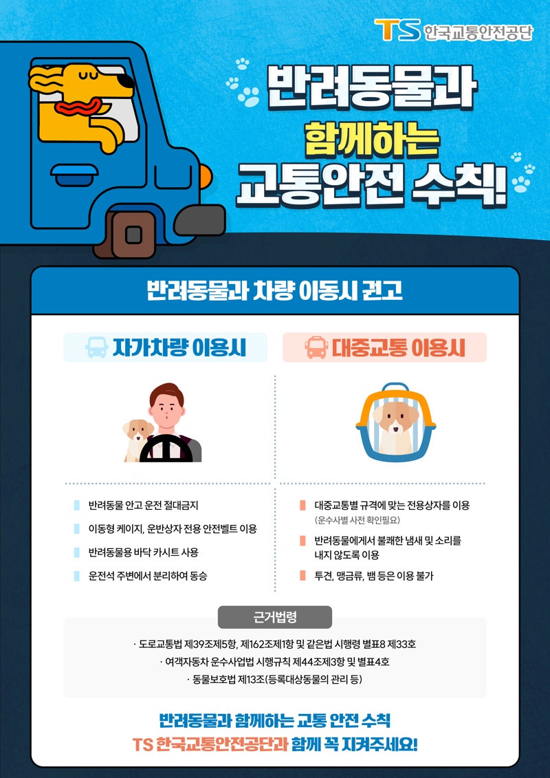 교통안전공단, "반려동물 안고 운전시 위험성 4.7배 증가"