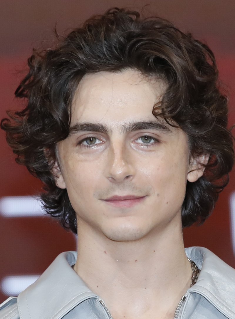 배우 티모시 샬라메가 21일 서울 영등포구 콘래드 서울 호텔에서 열린 영화 '듄: 파트2‘ 내한 프레스 컨퍼런스에서 포즈를 취하고 있다. ⓒ News1 권현진 기자