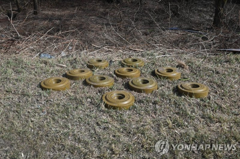 재래식 지뢰 부활…러시아·트럼프 공포에 동유럽 방어선 사수 - 파이낸셜뉴스