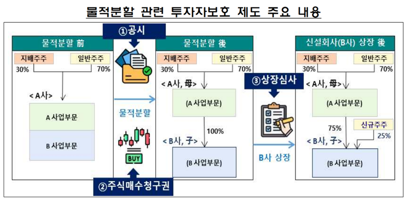 물적분할 관련 투자자보호 제도 주요 내용. 금융감독원 제공