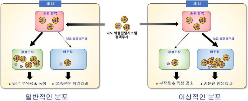 (과학기술정보통신부 제공)