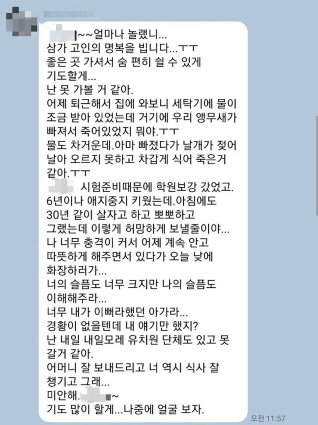 "모친상 안 온 절친의 카톡, 정 떨어진 내가 이상한가요?"... 사연
