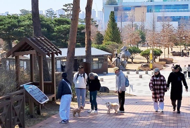 10일 대전 유림공원을 찾은 시민들이 휴일의 여유를 즐기고 있다. 2024.3.11 /뉴스1 ⓒNew1 최일 기자