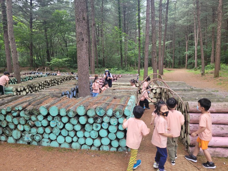 강원도 홍천의 삼마치유아숲체험원에서 어린이들이 술래잡기 놀이를 하고 있다. 산림청 제공