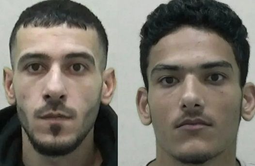 시리아 출신 형제 오마르(왼쪽)와 모하메드 바드레딘 / 데일리메일 갈무리