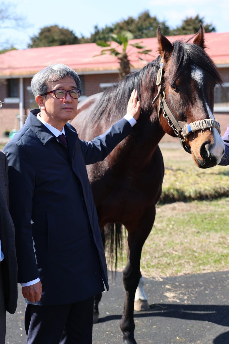 정기환 한국마사회장이 렌처럼팜 제주를 찾아 신규 씨수말 '클래식 엠파이어'를 살피고 있다. 한국마사회 제공