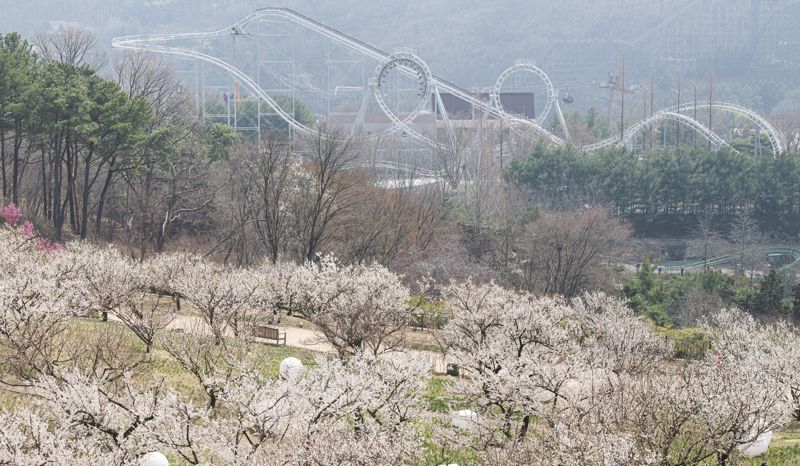 하늘정원길 / 에버랜드 제공