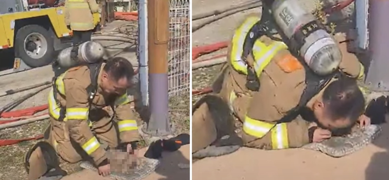 한 소방관이 화재 현장에서 구출한 강아지를 살리기 위해 심폐소생술을 하는 모습/사진=유튜브 '소방청TV'