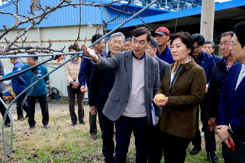 송미령 농림축산식품부 장관(앞줄 오른쪽)이 17일 대구 군위군 배 생산단지를 방문해 생육관리 상황과 개화기 저온피해 대응 현황을 점검하고 있다. 농림축산식품부 제공