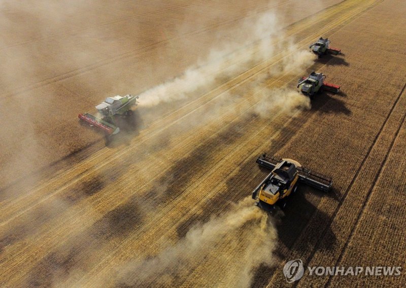 지난해 9월8일(현지시간) 러시아 옴스크 지역의 체르라크스키에서 밀이 수확되고 있다.로이터연합뉴스
