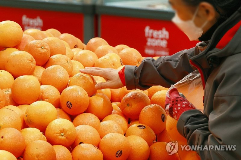 '할당관세' 오렌지 바나나 21일부터 마트 공급