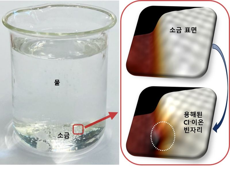 소금이 물에 녹는 이미지(왼쪽)와 원자 세계에서 일어나는 염소의 단일 이온이 녹는 모습. UNIST 제공