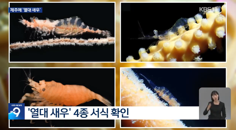 사진출처=KBS뉴스