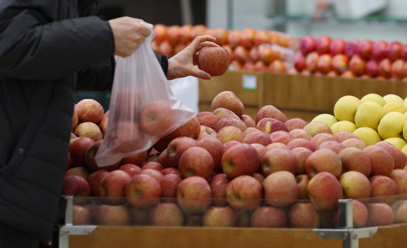 지난 25일 오전 서울 시내 대형마트에서 시민이 사과를 구매하고 있다. 정부가 대규모 자금을 투입하면서 사과와 배 소매 가격이 10% 넘게 하락했지만, 도매 가격은 오름세로 과일값 강세가 이어지고 있다. 한국농수산식품유통공사(aT) 농산물유통정보에 따르면 사과 10kg의 중·도매 가격은 9만1780원으로 일주일 전보단 1%가량 올랐다. 배 10kg도 10만8600원으로 일주일 전보다 7.3%, 1년 전보다는 147.3% 올랐다. 뉴스1.