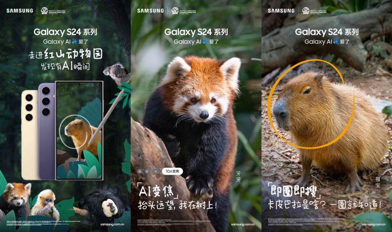 삼성전자가 홍산삼림동물원에서 지내는 카피바라 푸바오(오른쪽)를 활용해 만든 '갤럭시 S24' 시리즈 광고. 삼성전자 제공