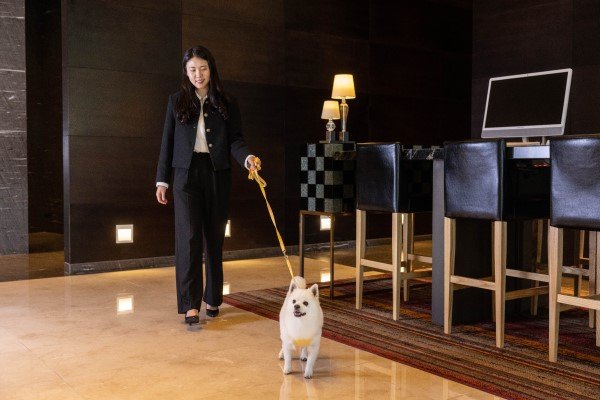 [서울=뉴시스] 오크우드 프리미어 인천 펫 패키지. (사진=오크우드 프리미어 인천 제공)