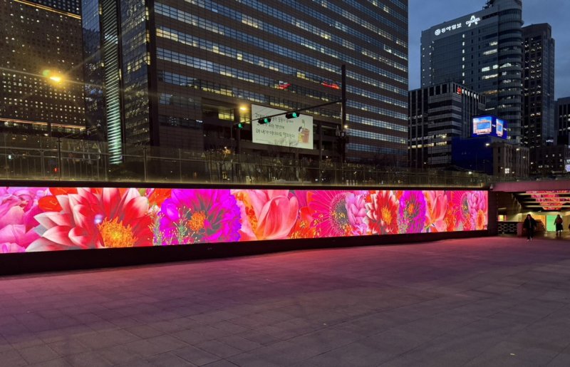 서울시는 광화문광장 해치마당 미디어월에서 ‘개화(開花)’를 주제로 2024년도 첫 번째 미디어아트 전시를 4월 1일부터 3개월간 선보인다. 서울시 제공