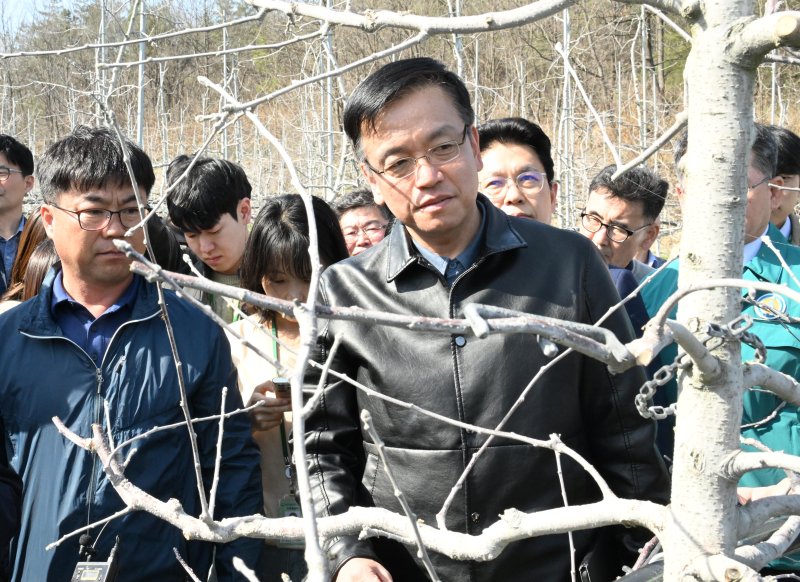 1일 최상목 부총리 겸 기획재정부 장관(오른쪽 첫번째)이 대구 군위면의 사과 산지를 방문해 생산현장을 점검하고 있다. 기획재정부 제공