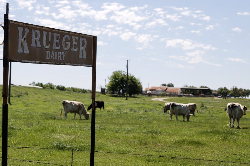 미국 텍사스주 오스틴의 한 농지. EPA연합뉴스