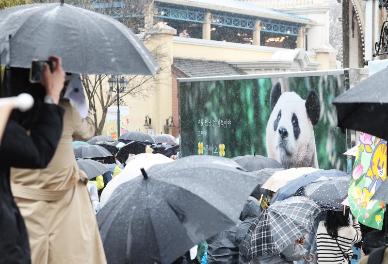 [용인=뉴시스] 사진공동취재단 = 3일 오전 경기도 용인시 에버랜드에서 시민들이 중국으로 떠나는 푸바오를 싣고 있는 무진동 특수 차량을 보며 배웅하고 있다. 2024.04.03. photo@newsis.com