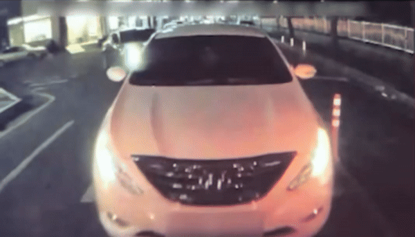 차 안에서 뽀뽀를 하다가 신호 대기 중이던 앞차를 박은 커플 /사진=유튜브 '한문철 TV' 캡처