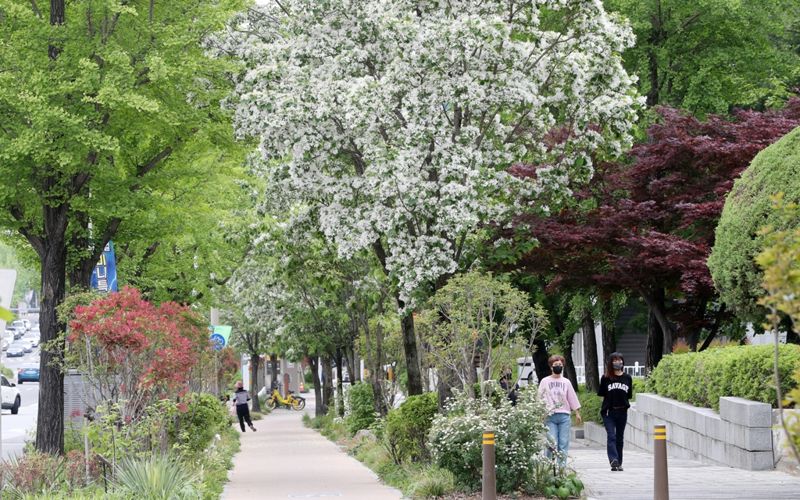 "아름다운 도시숲 추천해 주세요"