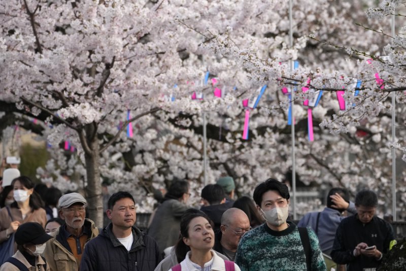 일본인 10명 가운데 약 9명이 북한에 대한 안보 위협을 느끼며, 10명 중 7명은 자국 방위력 근본적인 강화에 찬성하는 것으로 드러났다. 사진은 도쿄 인근 요코하마에서 지난 6일 시민들이 만개한 벚꽃을 구경하고 있는 모습. 뉴시스