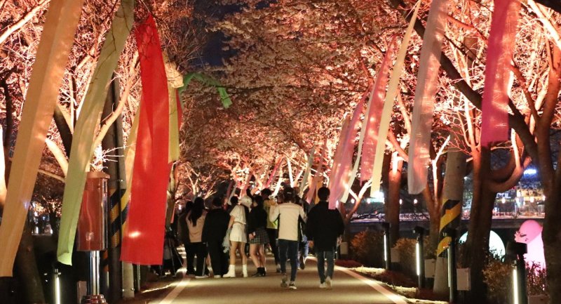 충북 보은군 보은읍 보청천변에서 상춘객들이 벚꽃길 야경을 즐기고 있다. (보은군 제공) /뉴스1