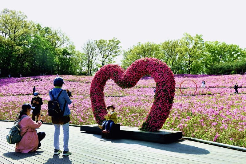 철쭉동산 [노원구 제공. 재판매 및 DB 금지]