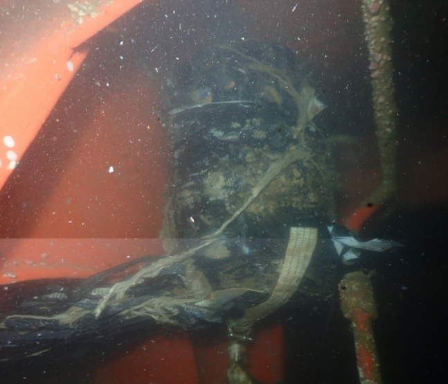"이게 뭐지?" 배에 붙은 따개비 제거하다 발견한 28kg의 검은 가방