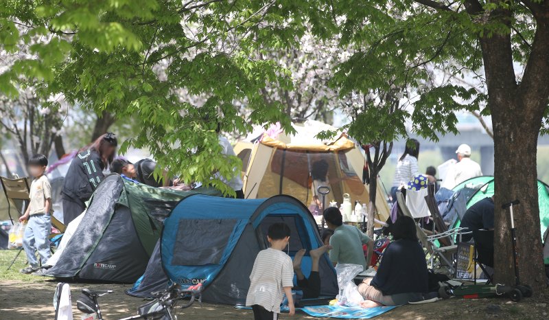 전국적으로 초여름 날씨를 보인 14일 서울 여의도 한강공원에서 시민들이 나무 그늘 밑에 텐트를 치고 더위를 식히고 있다. 2024.4.14/뉴스1 ⓒ News1 임세영 기자