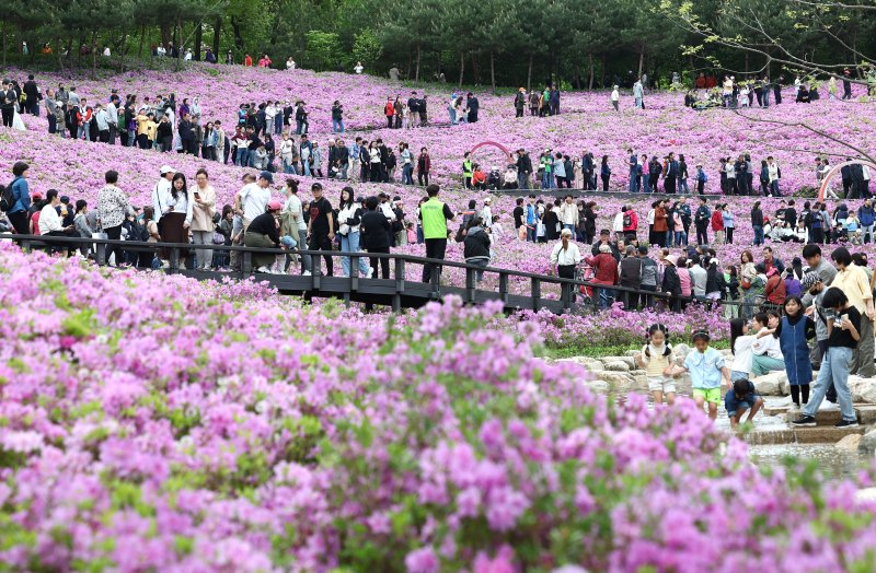지난 4월 21일 오후 서울 노원구 불암산힐링타운에서 열린 2024 불암산 철쭉제를 찾은 시민들이 꽃구경을 하고 있다. 연합뉴스