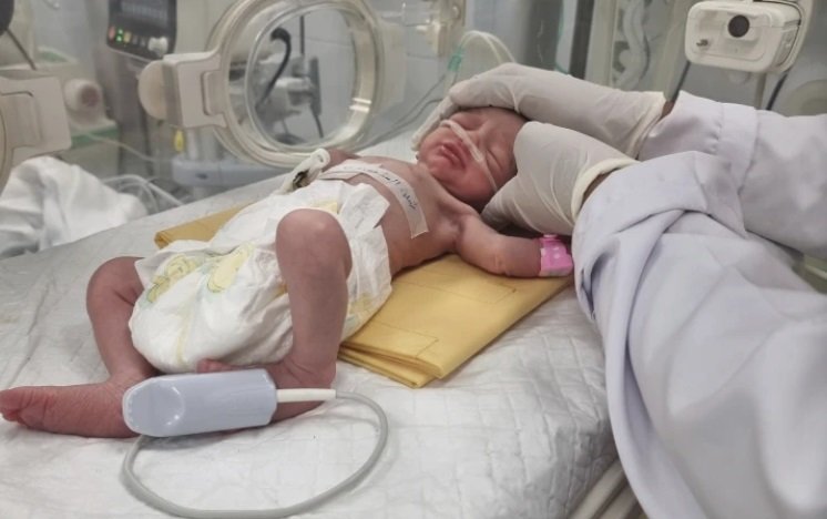 가자지구 라파에서 이스라엘군의 공습으로 숨진 팔레스타인 임신부의 아기가 응급 제왕절개 수술을 통해 태어나 인큐베이터에 누워있는 모습. 뉴시스