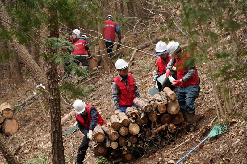 소나무재선충병 피해목 처리 작업자들이 피해목의 훈증처리를 준비하는 모습.
