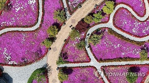 꽃세상 된 임실 붕어섬 생태공원 [임실군 제공. 재판매 및 DB 금지]