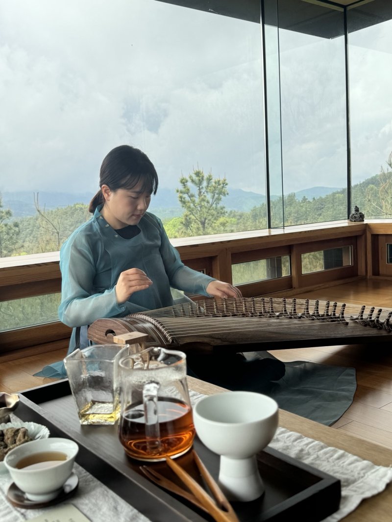 최은희 가야금 연주자가 현암 티 하우스에서 '고향의 봄'을 선보이고 있다. ⓒ News1 김형준 기자