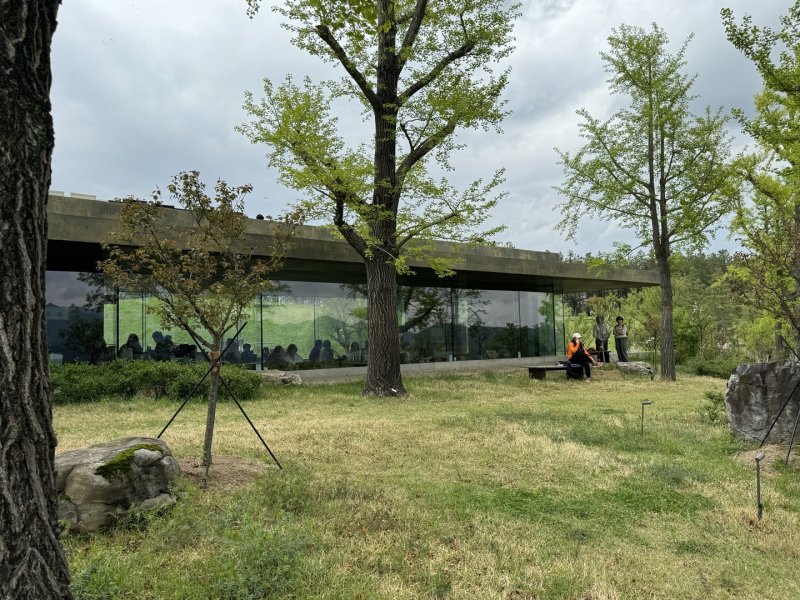 사유원 카페 '가가빈빈'의 모습. 가가빈빈에서는 풍설기천년에서 채취한 모과로 만든 차를 판매한다. ⓒ News1 김형준 기자